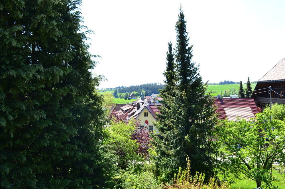 Black Forest Rooms Grafenhausen Exterior foto